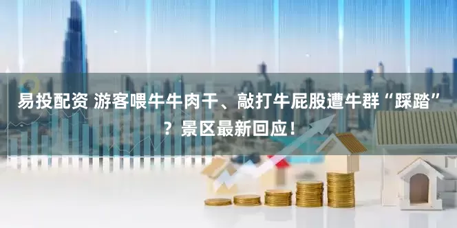 易投配资 游客喂牛牛肉干、敲打牛屁股遭牛群“踩踏”？景区最新回应！
