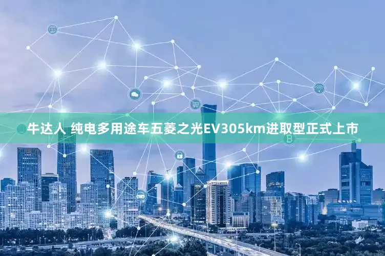 牛达人 纯电多用途车五菱之光EV305km进取型正式上市