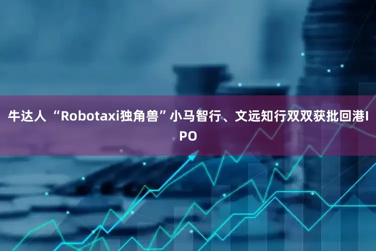 牛达人 “Robotaxi独角兽”小马智行、文远知行双双获批回港IPO