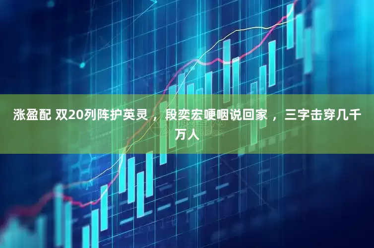 涨盈配 双20列阵护英灵 ，段奕宏哽咽说回家 ，三字击穿几千万人